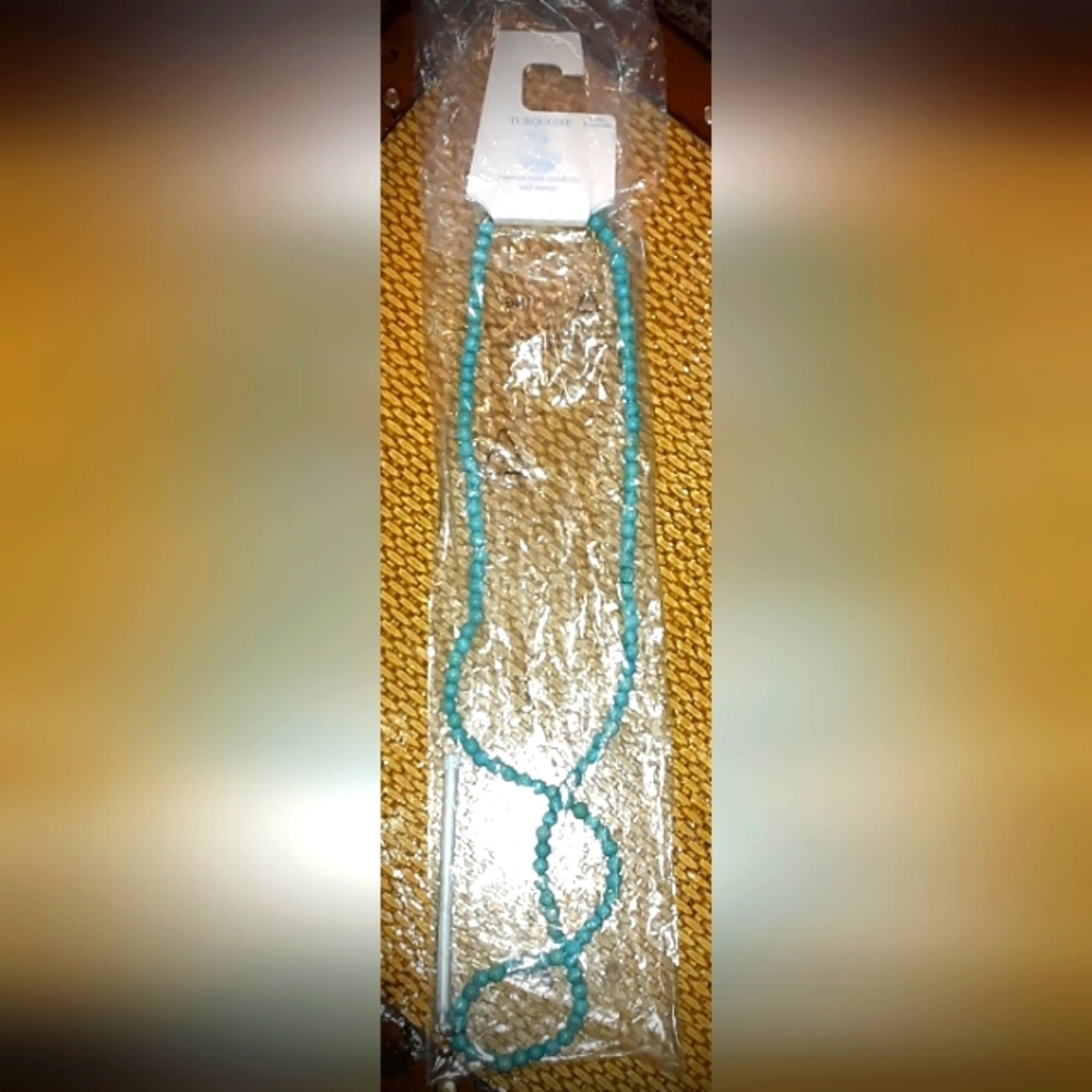 Turquoise Semi-precious Beaded Necklace & Charm